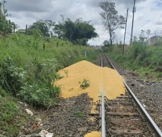 APUCARANA – Dois homens são presos furtando milho de trem e cerca de 12 toneladas da carga acabam derramadas