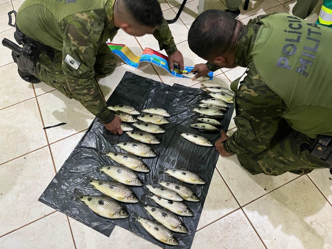 Pesca irregular no Rio Paraná termina com dois presos e peixes apreendidos em Icaraíma