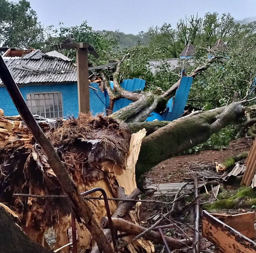 ORTIGUEIRA – Temporal derrubou árvore sobre barracão de Igreja no Bairro Sapé