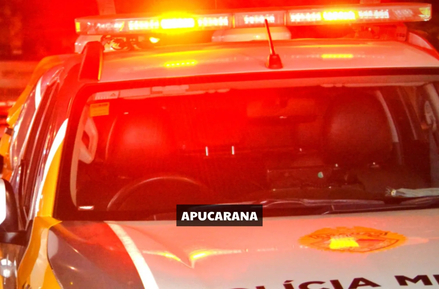APUCARANA – Homem espanca cão, ameaça sobrinha e é preso