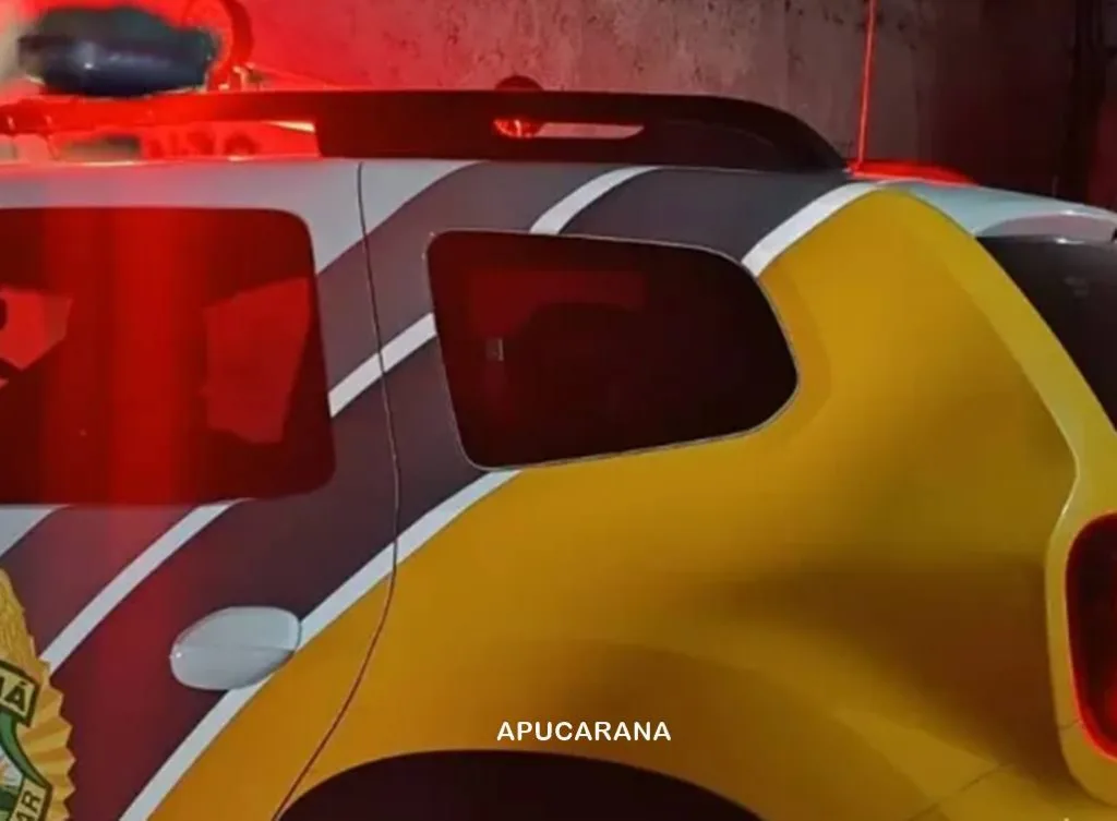 APUCARANA – Furto e mandado de prisão marcam plantão