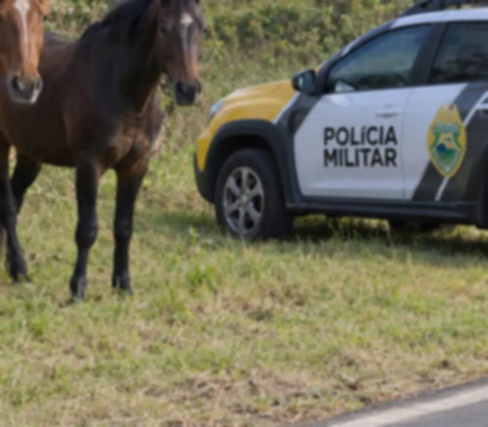IVAIPORÃ – Cavalos furtados no Jardim Nova Porã são recuperados e adolescente é apreendido