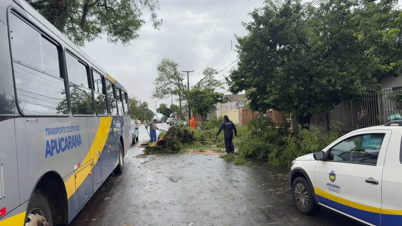 APUCARANA – Temporal causa estragos em 36 unidades e prefeitura suspende aulas nesta quarta-feira