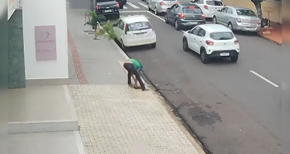 Homem é filmado arrancando e furtando árvore de calçada em Apucarana