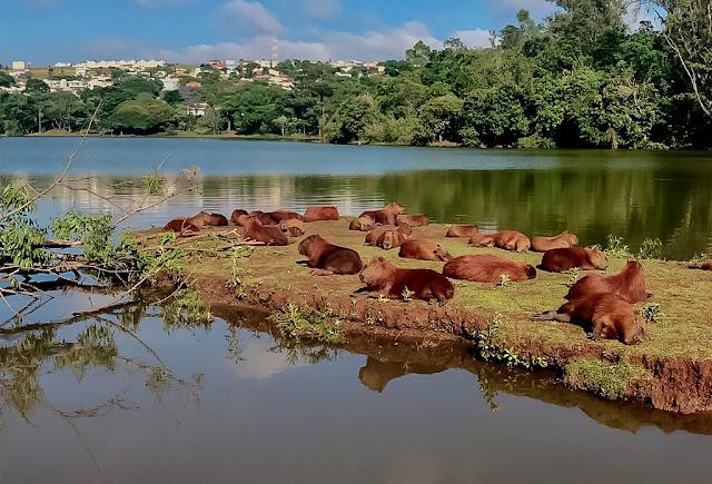 Apucarana é top 3 no Paraná e referência em sustentabilidade