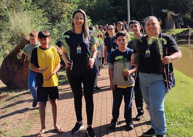 Kaloré planta mudas de Araucárias na Semana do Meio Ambiente